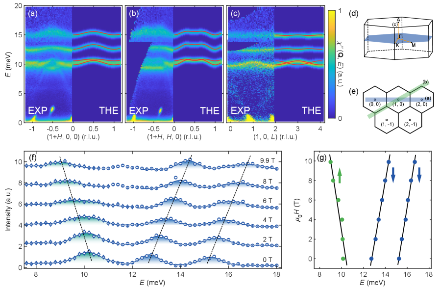 図2: 中性子非弾性散乱によるスピン波とフォノン分散