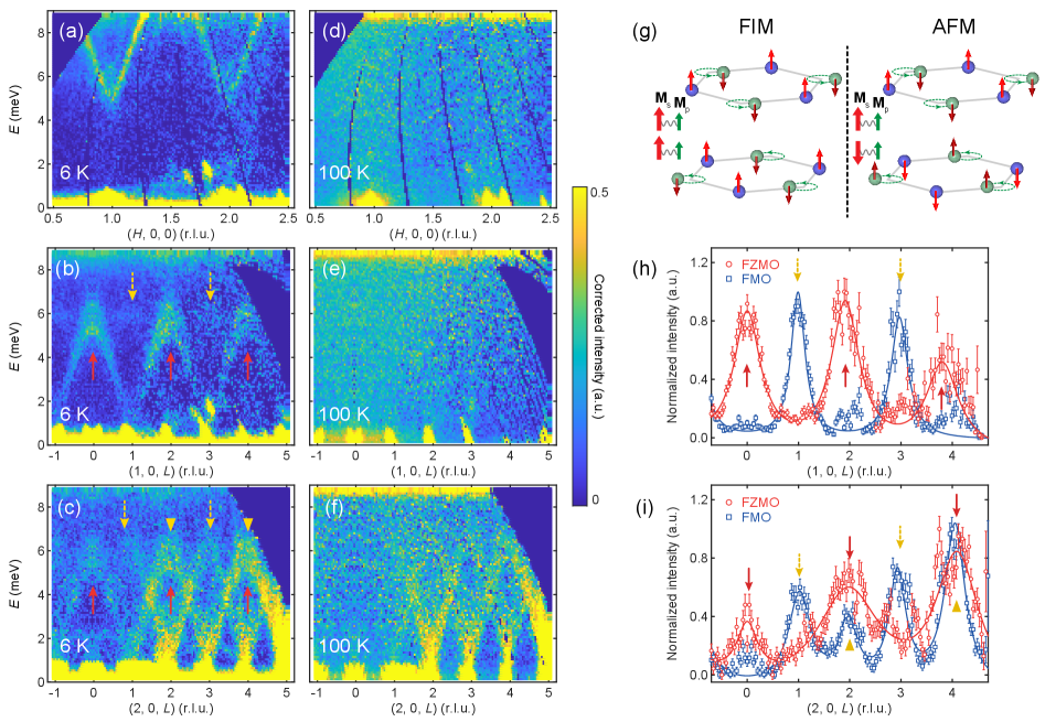 図3: フォノンスペクトルとキラルフォノンのスピン結合機構