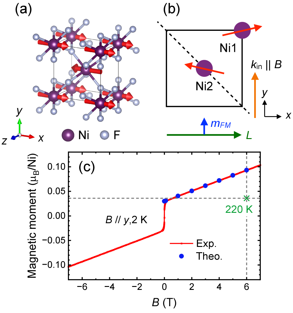 図1: NiF₂の結晶・磁気構造とXMCD測定配置