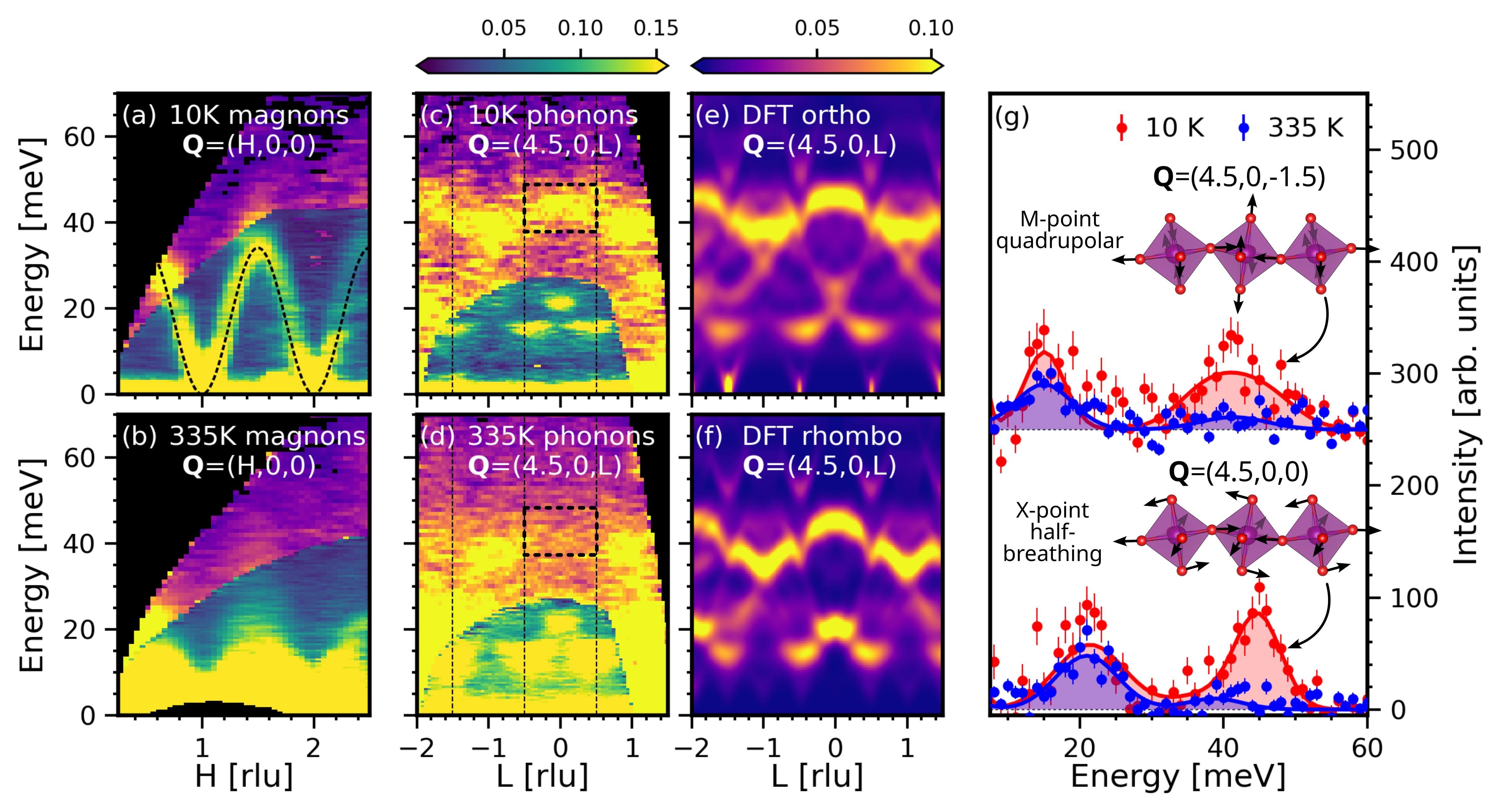 Fig. 1: 中性子非弾性散乱によるフォノン異常