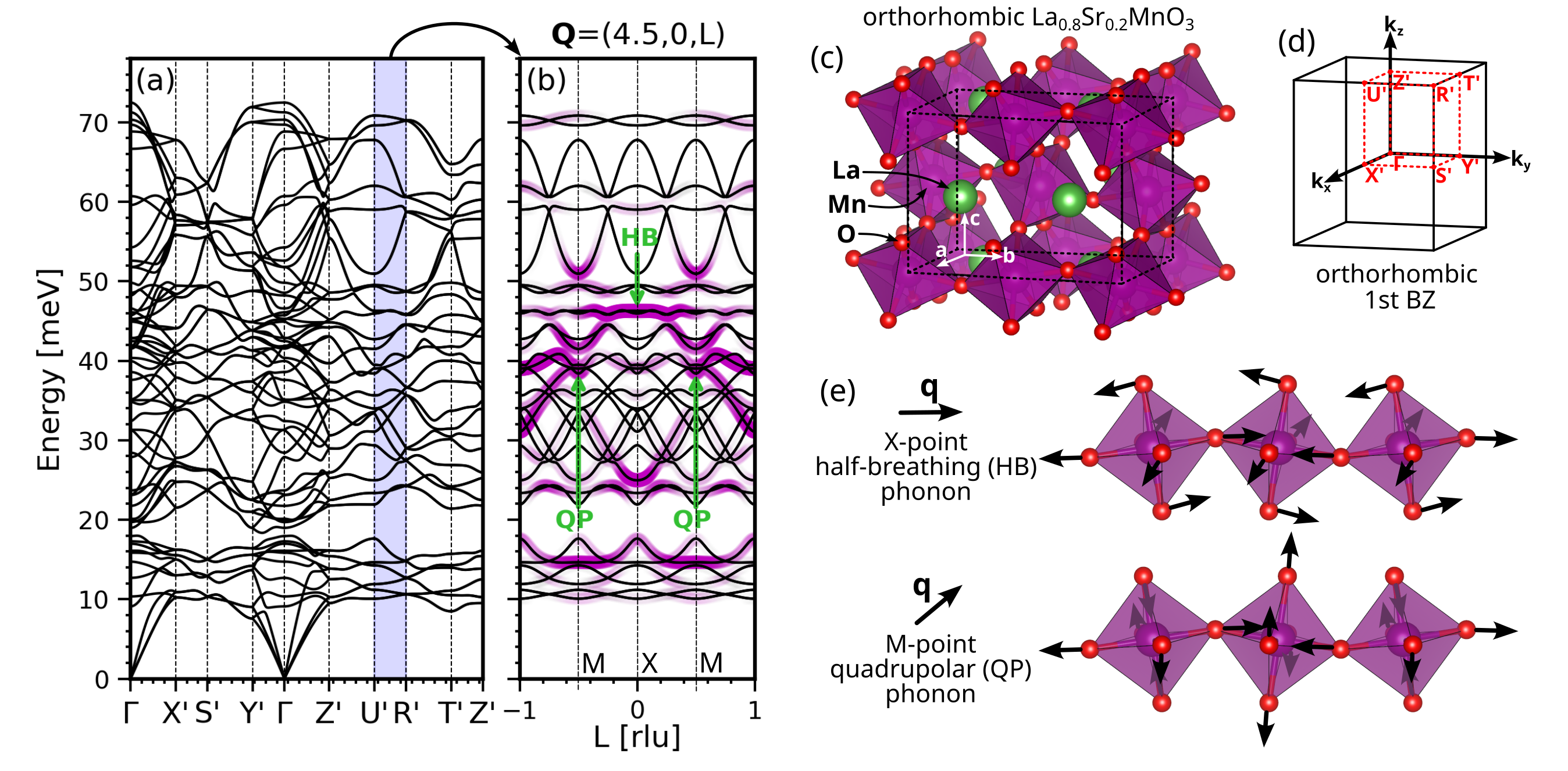 Fig. 3: フォノン分散曲線の計算結果