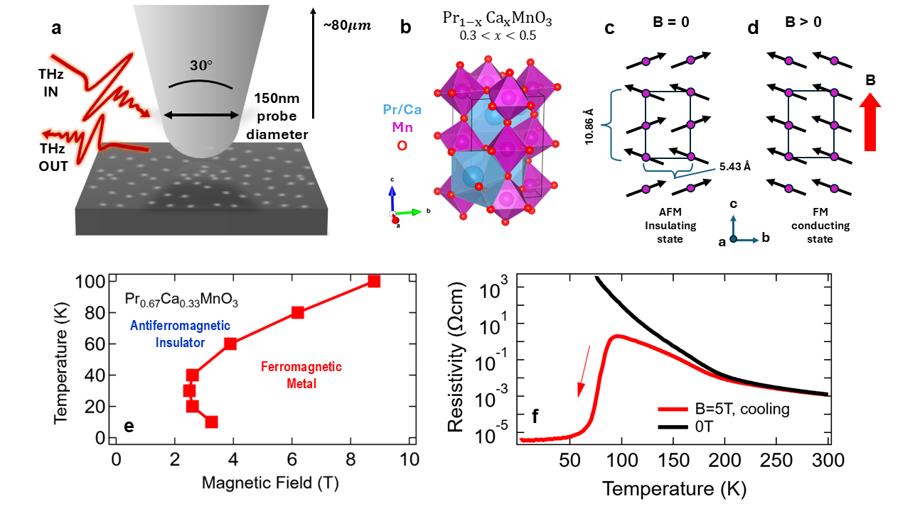 図1：THz-sSNOM装置概念図とCMR試料の巨視的相図