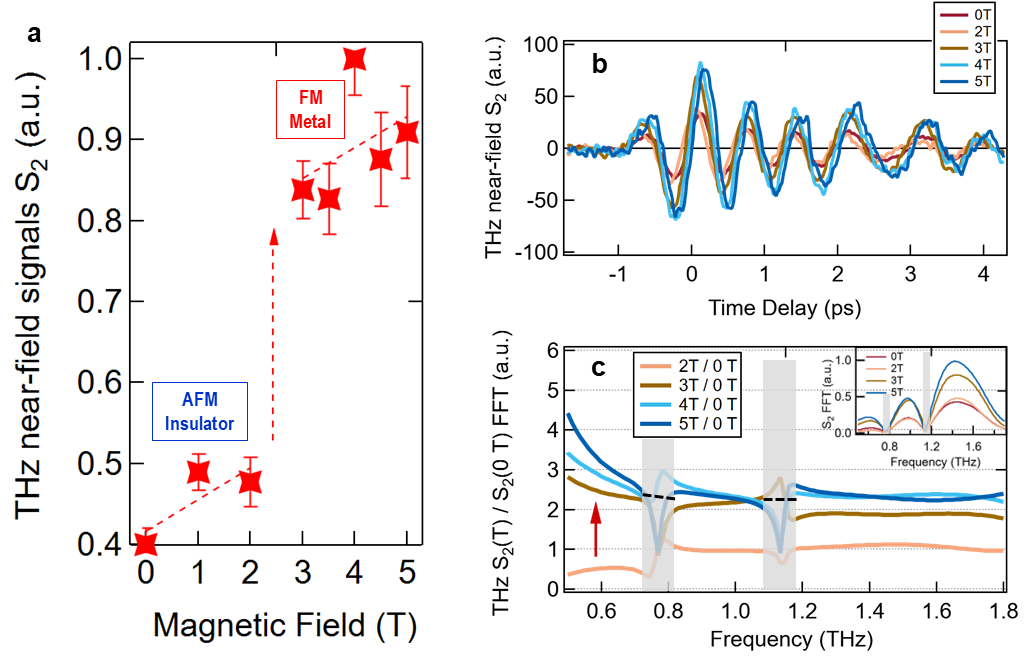 図2：時間領域THz分光によるCMR転移の磁場依存性