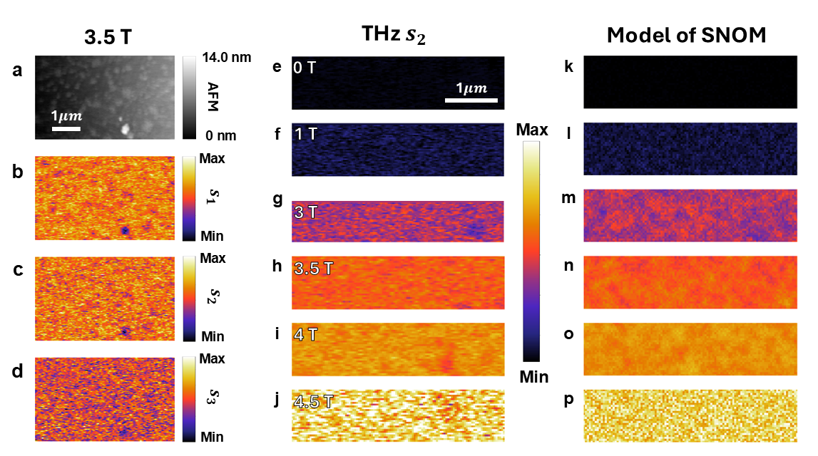 図3：ナノスケール実空間イメージングによるCMR転移の空間構造