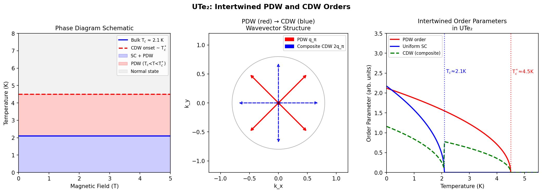 図1：UTe₂における絡み合い秩序の相図