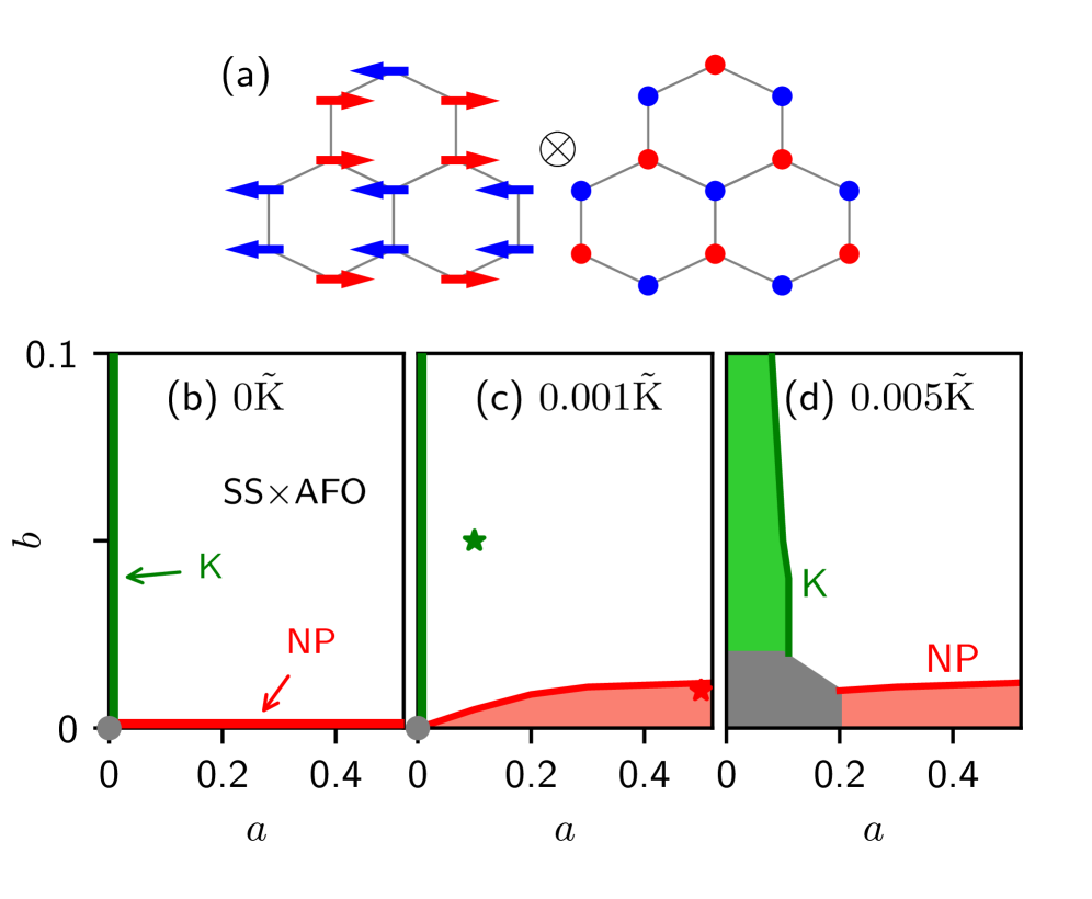 図1：Kitaev-Yao-Lee模型の古典相図（温度変化）