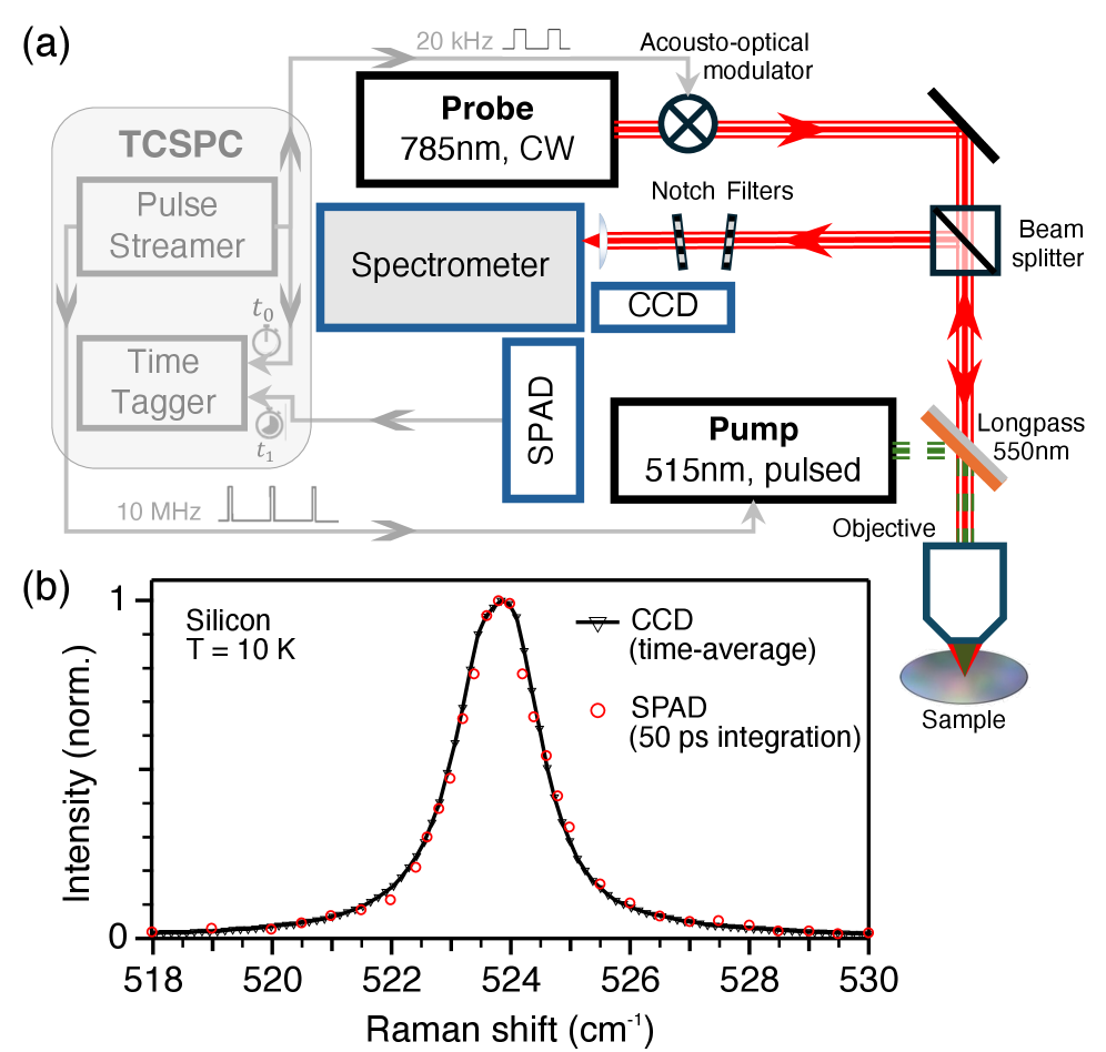 図1：装置構成と定常・時間分解ラマンスペクトルの比較
