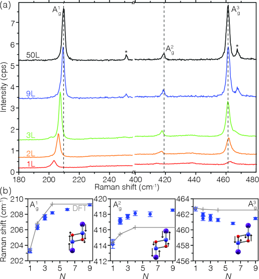 図2：温度依存マグネトラマンと磁気相転移シグネチャ