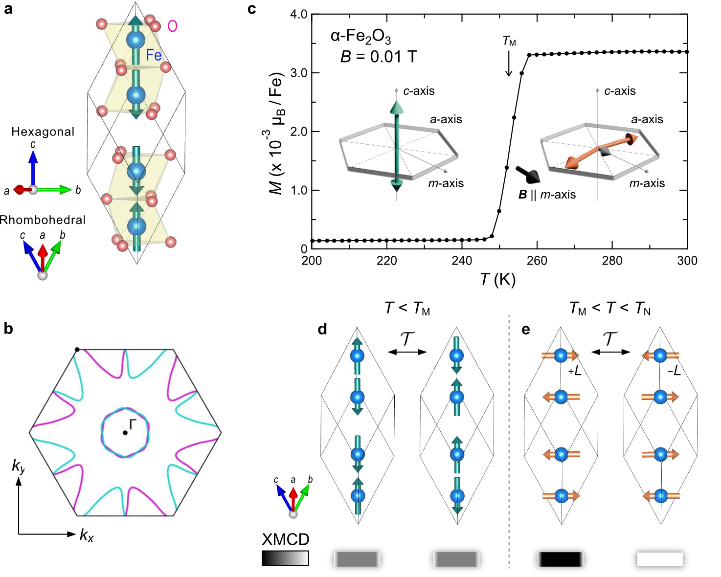 図1：α-Fe₂O₃のXMCDナノイメージング全体像