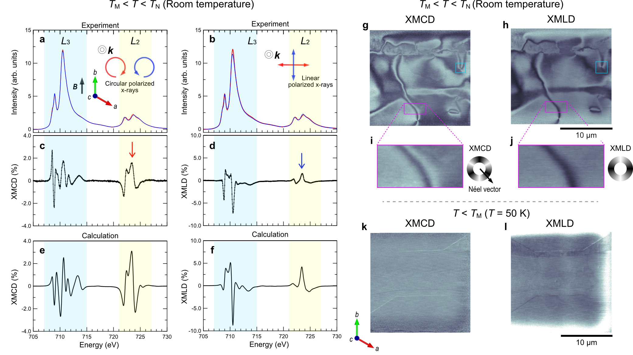 図2：メロンスピンテクスチャとXMCD空間変調
