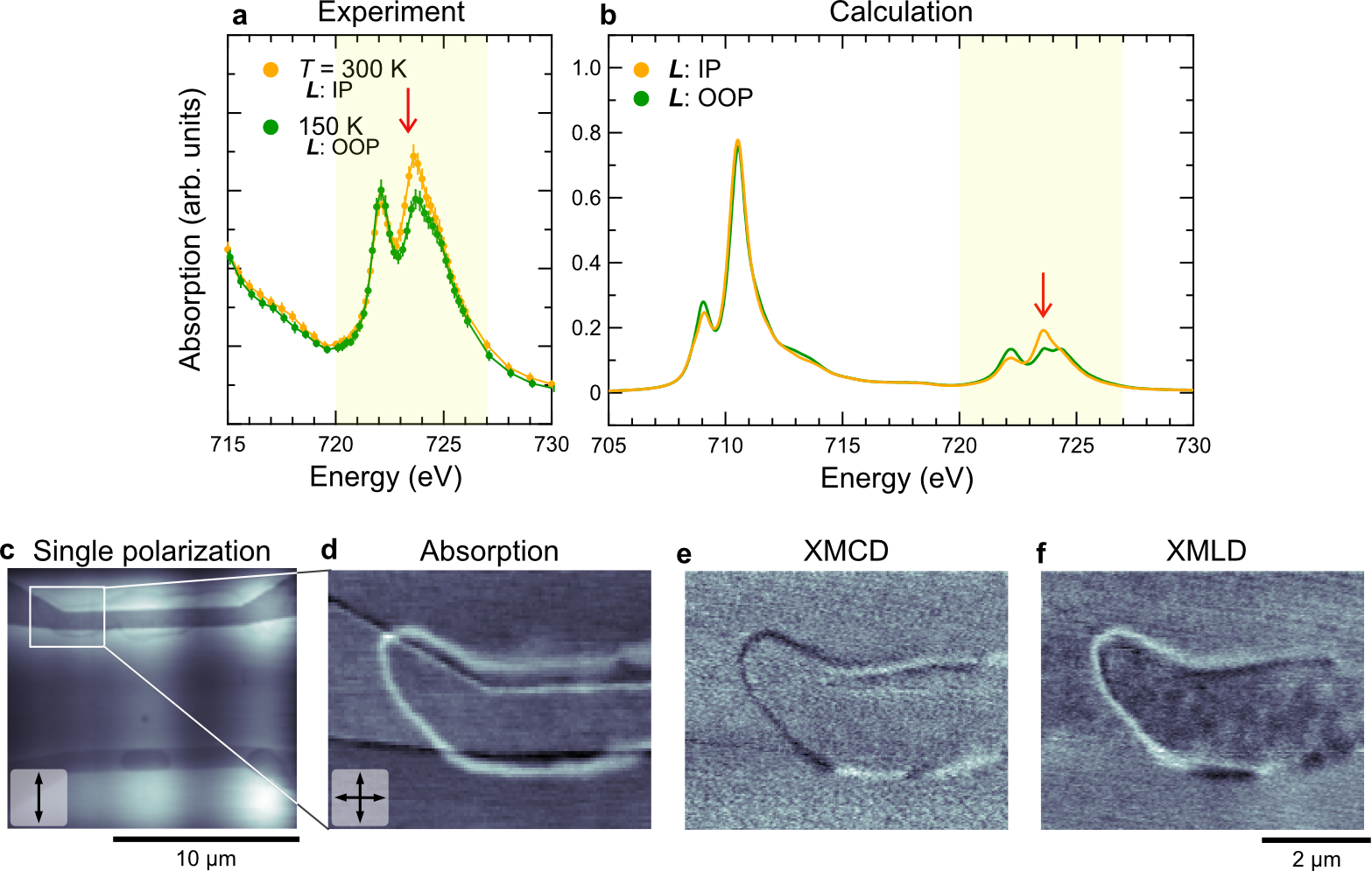 図3：温度依存XMCD応答とアルタマグネット局所変調の概念図
