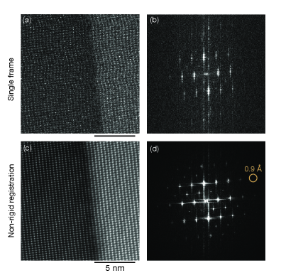 図3：Ptychography軽元素像