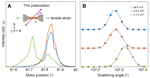 歪み依存性の構造変化。3種類の歪み条件（無歪み、引張歪みA、引張歪みB）でのX線回折ロッキングカーブの変化。歪み増大に伴いブラッグピーク形状が変化し、格子変調の兆候が見られる。