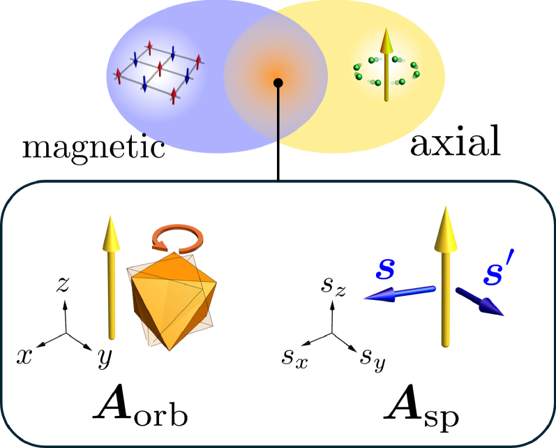 Ferroaxial magnet schematic