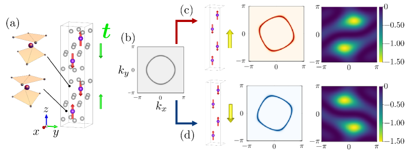 Crystal structure and Fermi surface