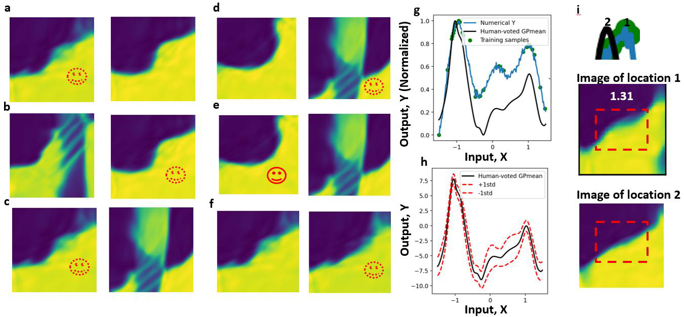 Figure 3: 強誘電体実験データへの適用結果