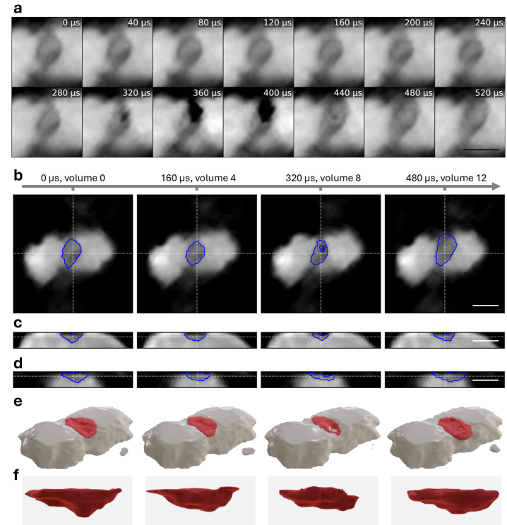 図3：キーホール発生・消滅の時間発展
