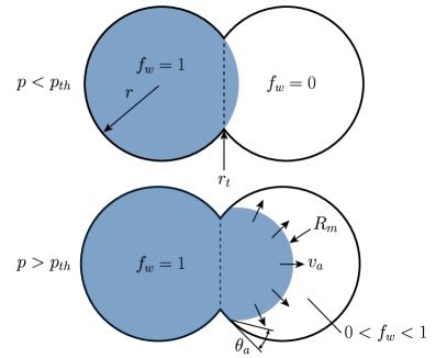 図2：4D再構成によるイムビビション前進の可視化