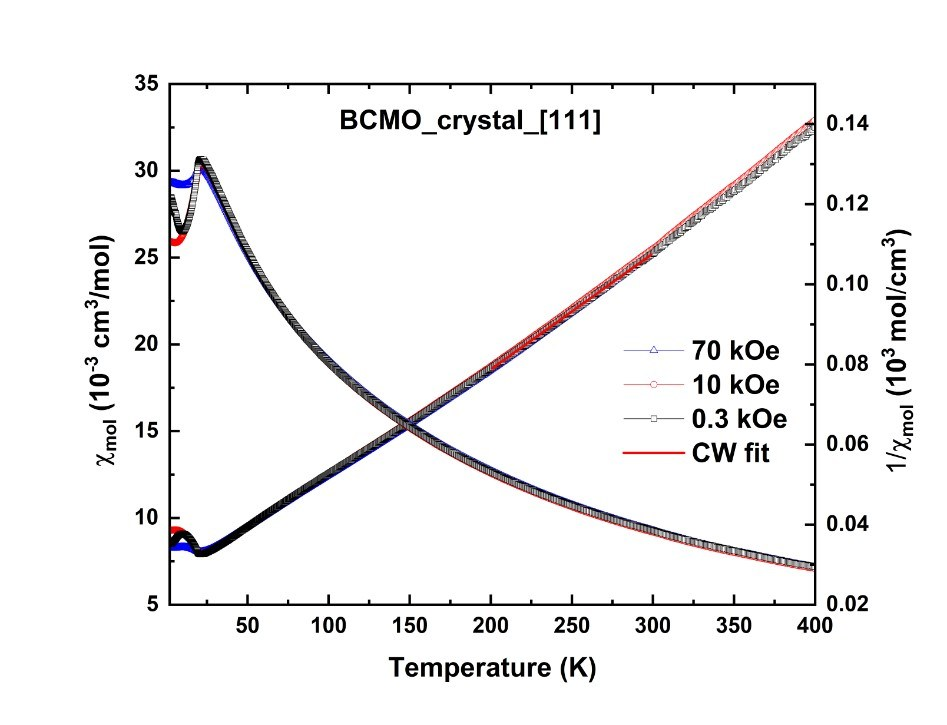 BCMO Magnetic Susceptibility