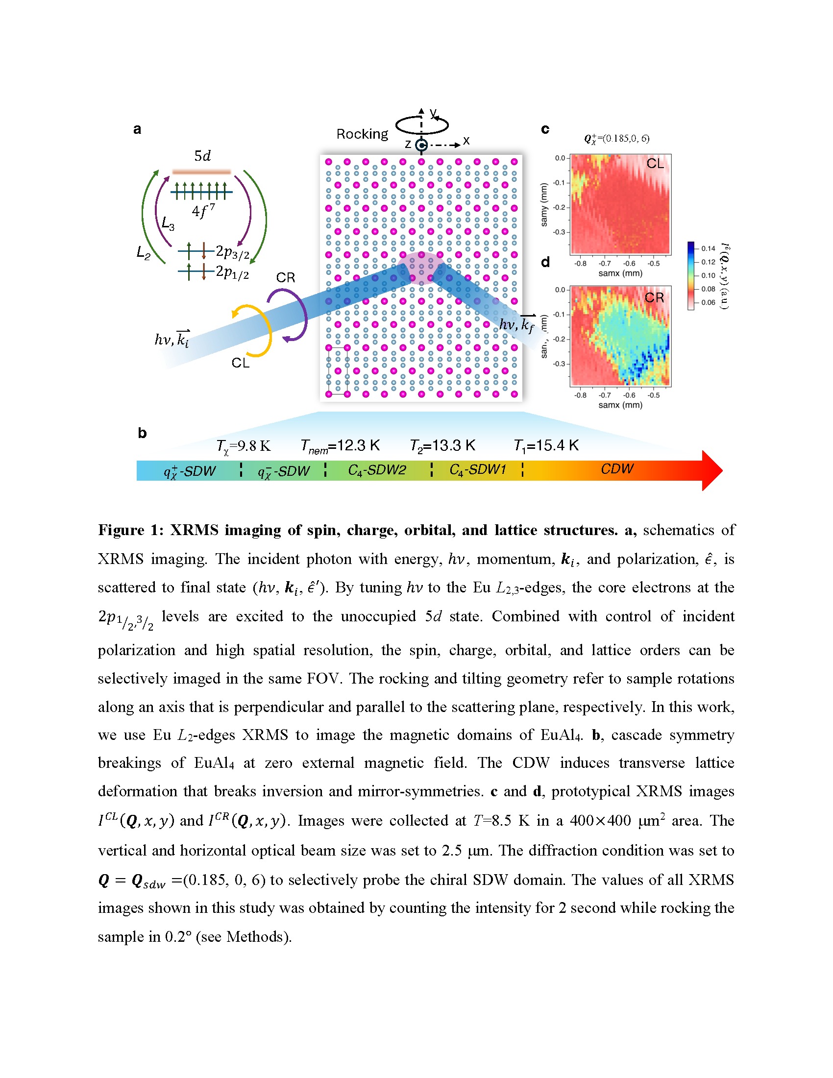 EuAl4 XRMS Setup and Structure
