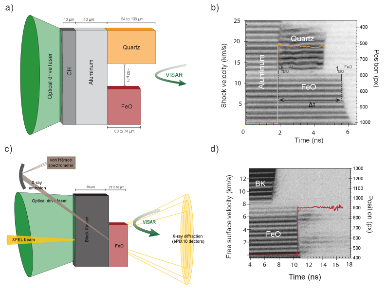実験セットアップ
