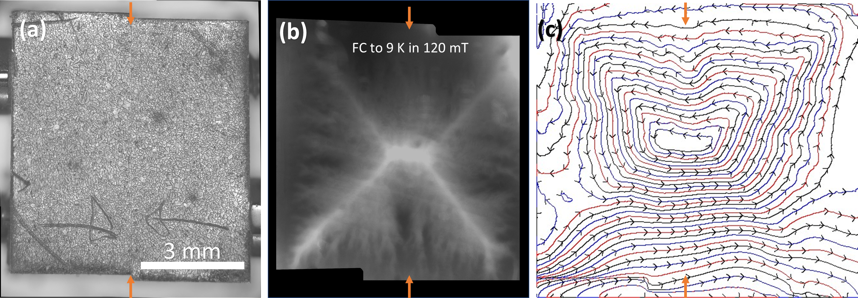 Fig.1: MOI による接合部横断超電流の直接観察