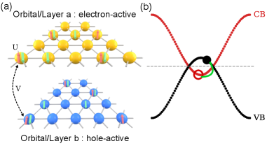 図1：DMFT+QMCで計算された励起子凝縮温度のU依存性
