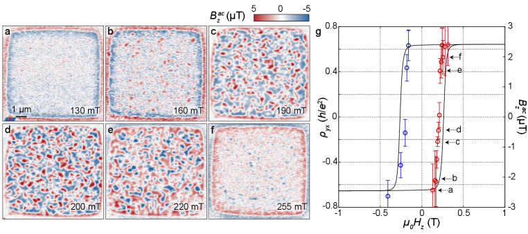 図1：外部磁場変化に伴う磁気浮遊磁場マップ