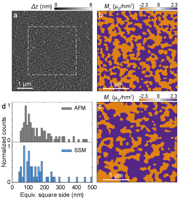 図3：トポグラフィーと磁化マップの比較