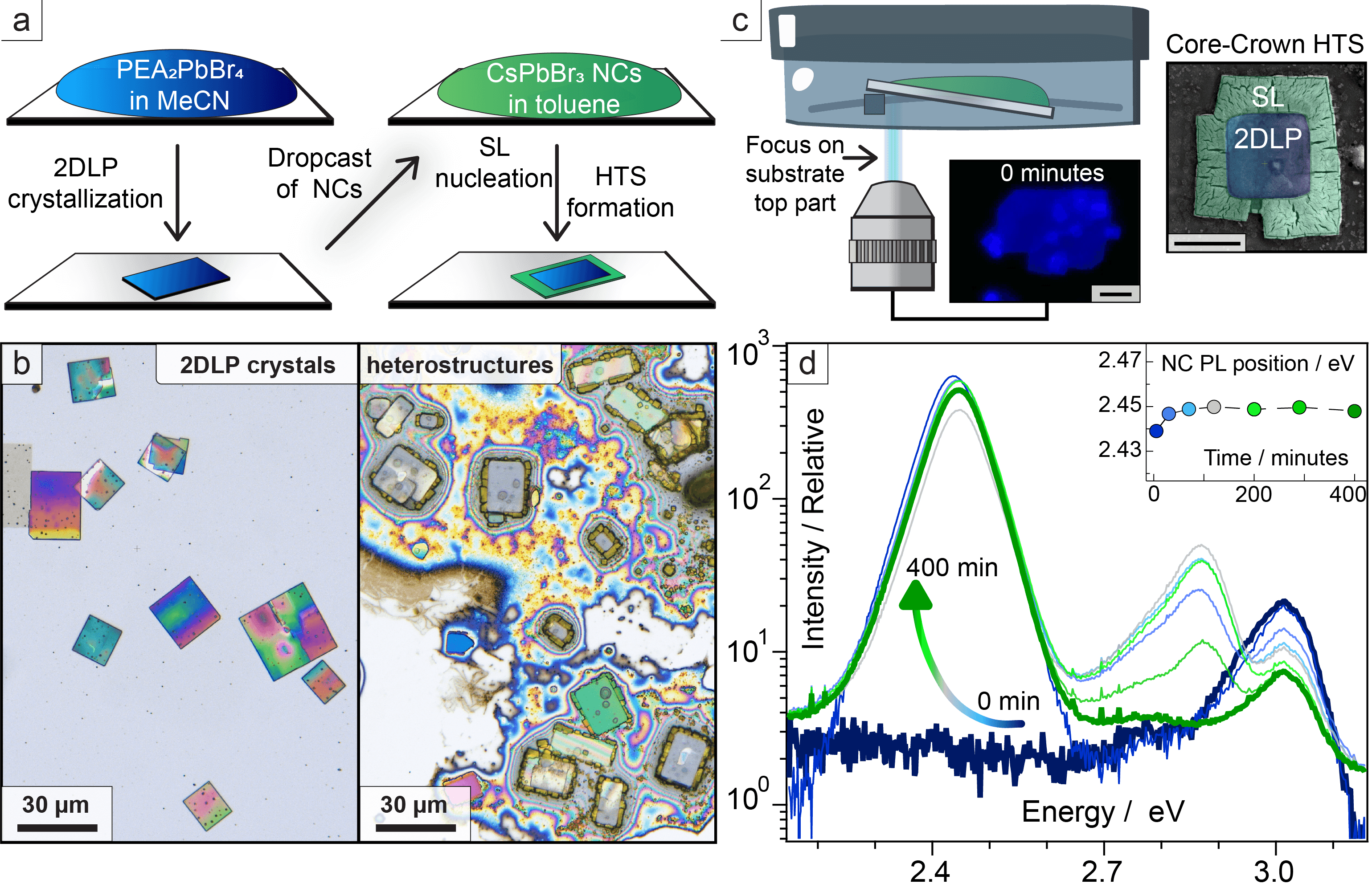 Fig.2: 核生成・成長プロセスと構造解析