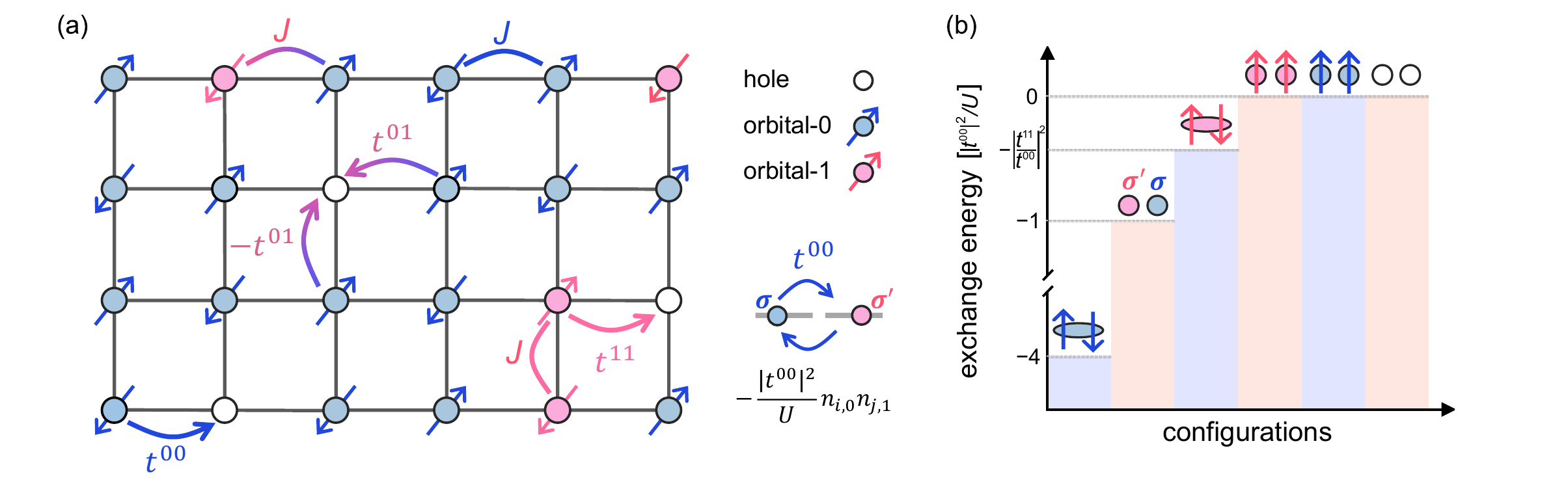 二軌道t-Jモデルと軌道選択的d波超伝導