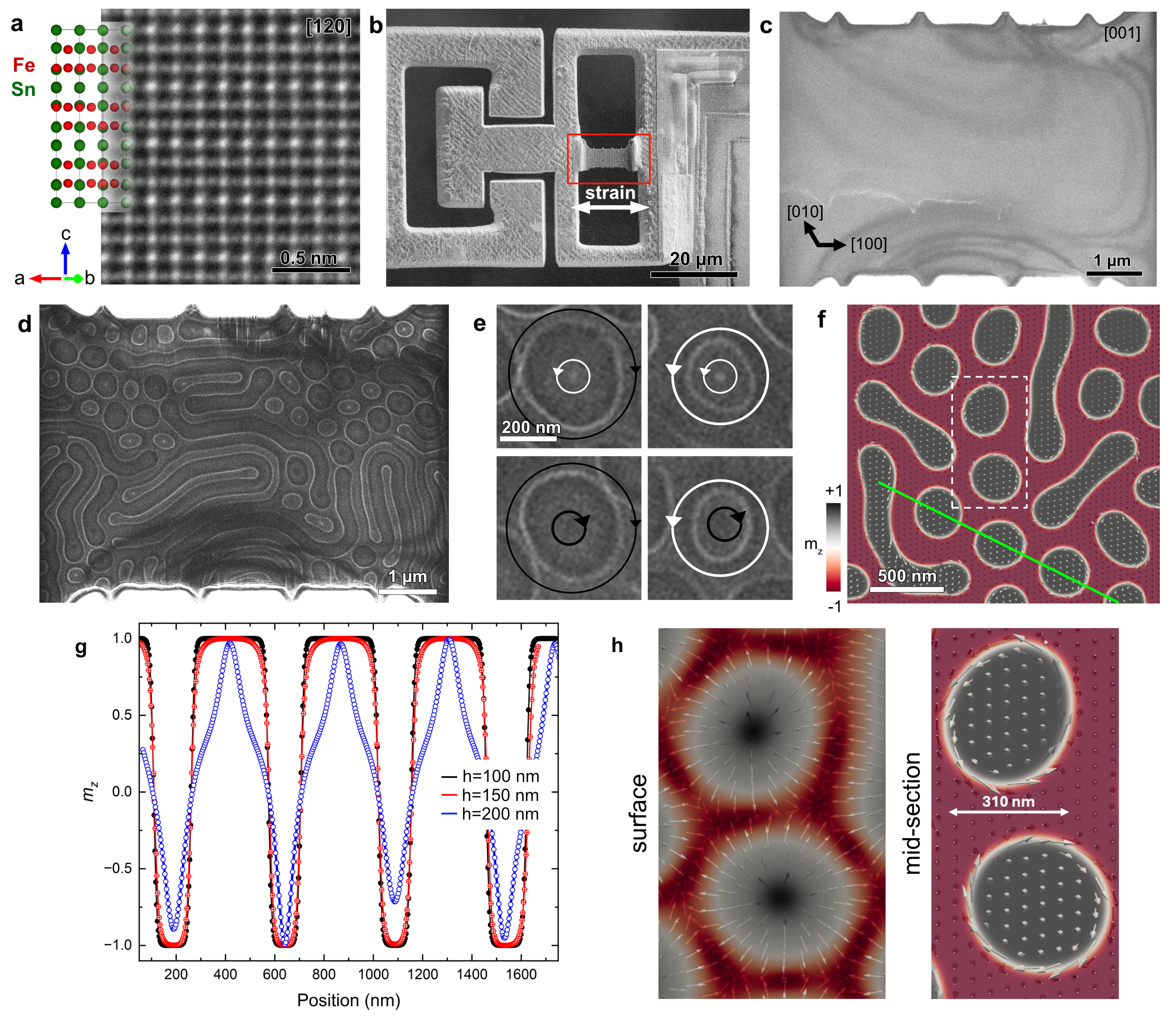 歪みによる磁気テクスチャ制御：その場 TEM 観察
