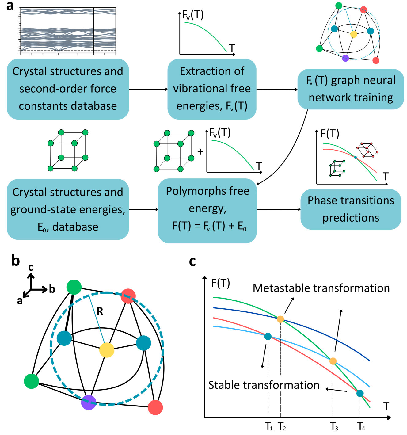図3: ML-guidedな固固相転移探索のワークフロー（arXiv:2506.01449 Figure 1より; CC BY 4.0）。(a) DFTとGNNを組み合わせた計算フロー、(b) 結晶構造のグラフ表現、(c) 相転移の判定（安定型・準安定型）。
