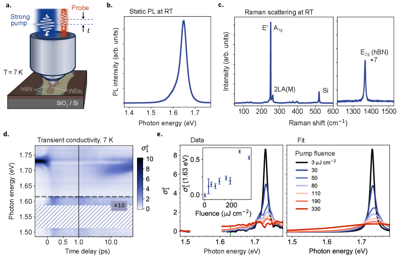 図1：ポンプ-プローブ測定の概要と過渡導電率マップ