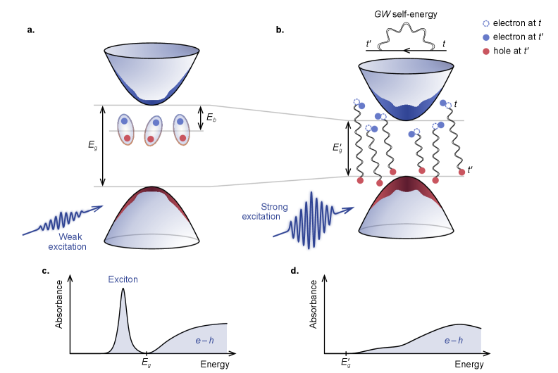 図3：低密度・高密度励起での電子正孔系の概念図