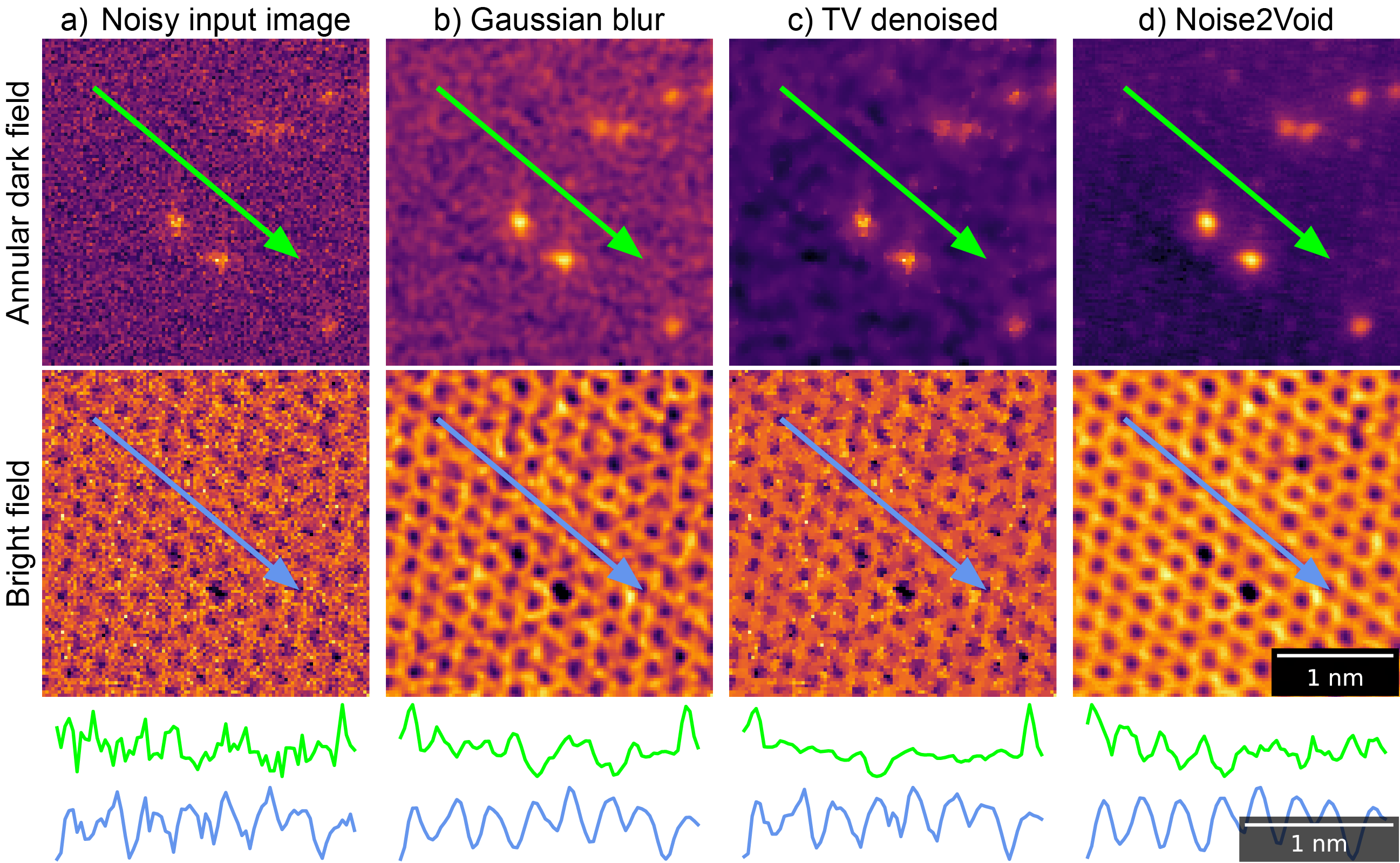 Fig. 5: 深層学習ノイズ除去の効果（Noise2Void）