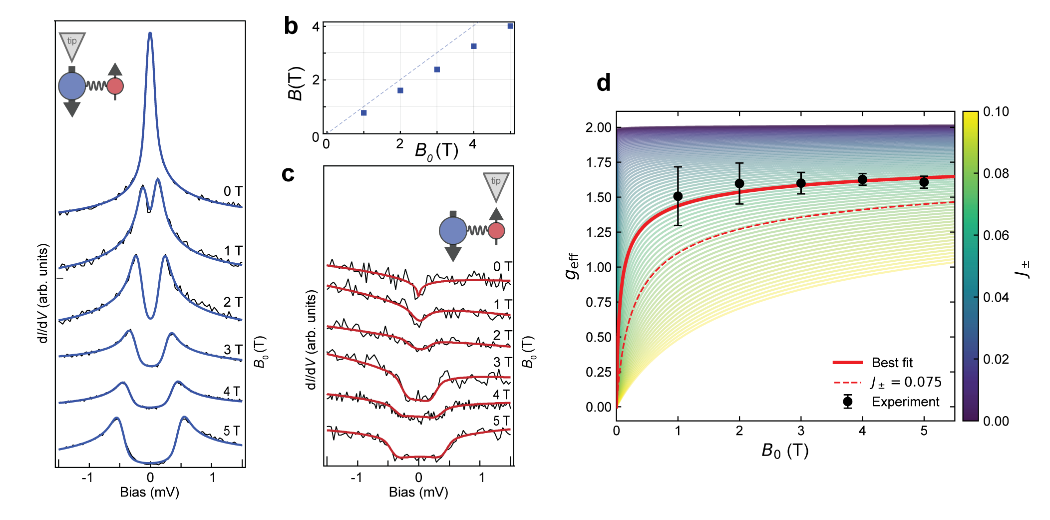 磁場依存性と実効g因子