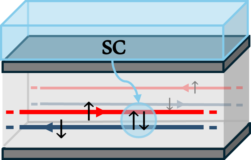図8：超伝導体（SC）と量子スピンホール絶縁体のヘテロ構造の概念図。赤と青のエッジ電流がスピンを反対向きに持って流れ（トポロジカルエッジ状態）、超伝導体からの近接効果がこのエッジ状態を近接誘起超伝導状態に変える。エッジの再構成（中央のスピン反転トンネリング）が内因性TRSBを生み出す。