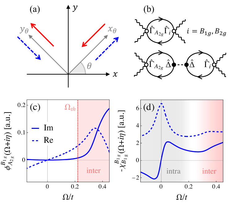 図6 反対称ラマン応答の理論：偏光幾何学とファインマン図
