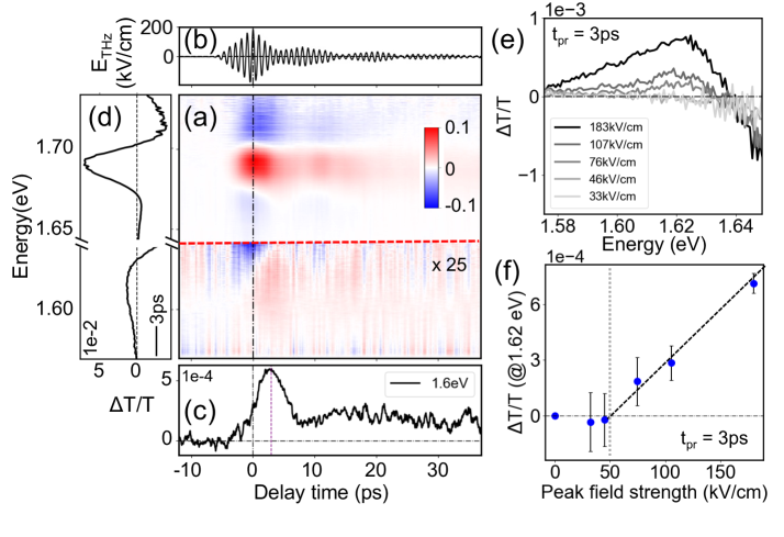 図1：実験装置と観測された非平衡フォノン応答の概要