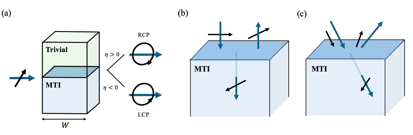 磁性TI界面によるフォノン偏光フィルター（arXiv:2603.17274 より）
