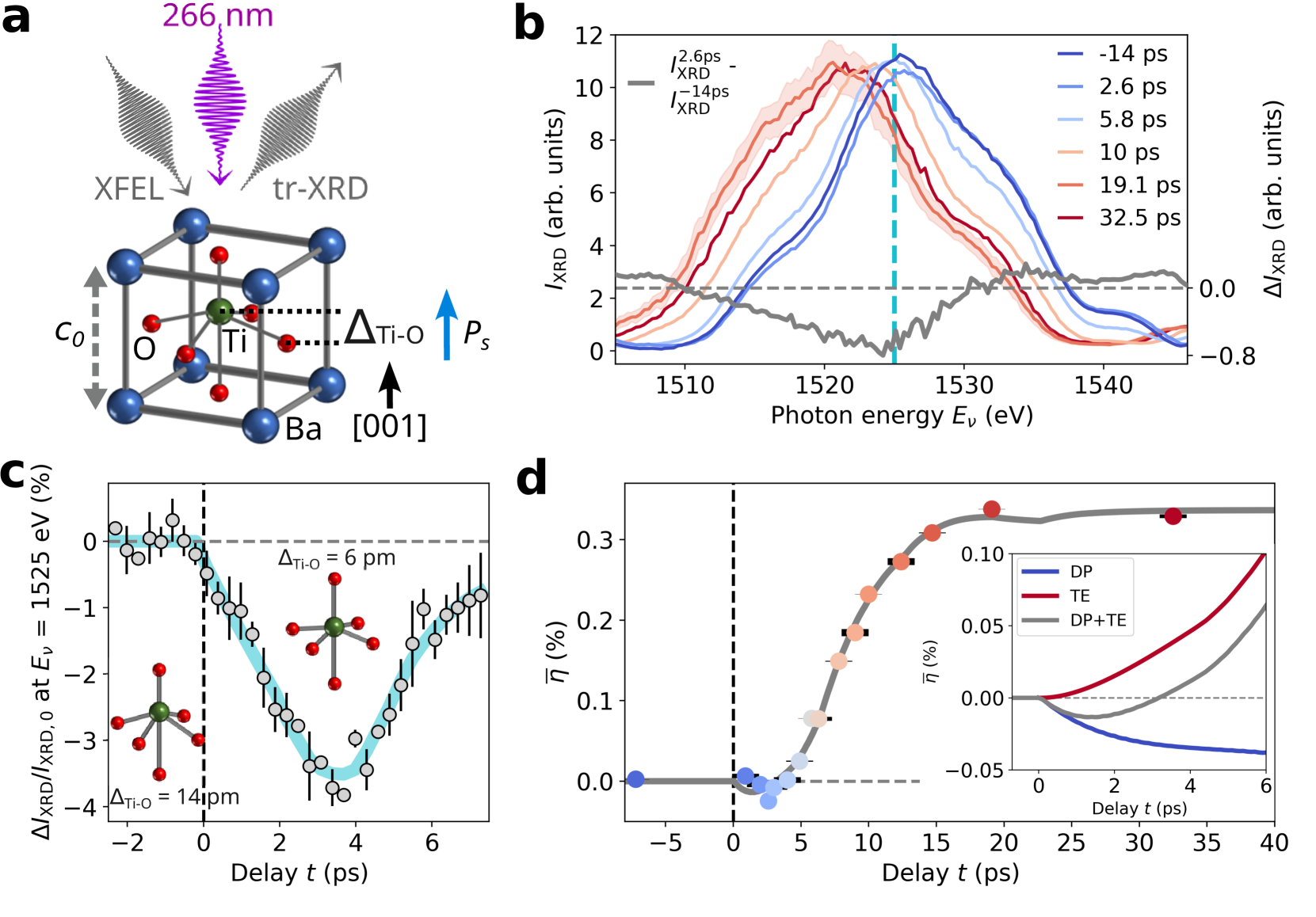 BaTiO₃における超高速分極-歪み解結合