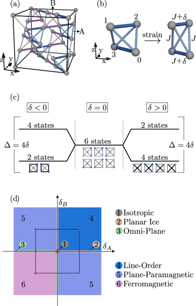 図3：呼吸するパイロクロア格子上の異方的スピンアイスの単位胞。A型テトラヘドラ（青）とB型テトラヘドラ（赤）が交互に並び、それぞれ異なる相互作用強度を持つ。番号はスピン位置を示す。