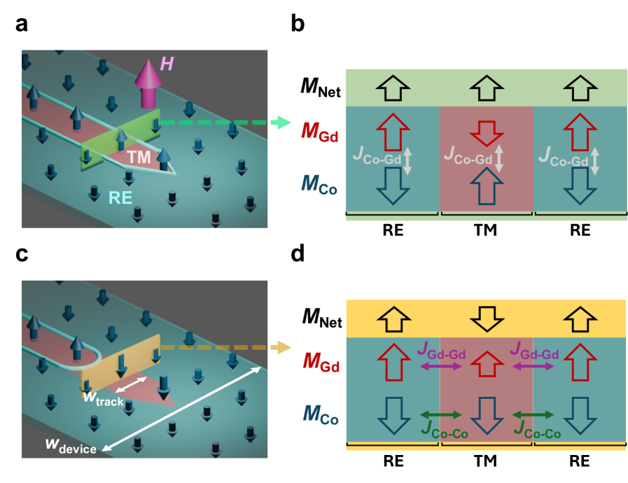 arXiv:2508.14252 Fig.1: TM-RE フェリ磁性体トラックにおける自発的 DW 運動の模式図（CC BY 4.0）
