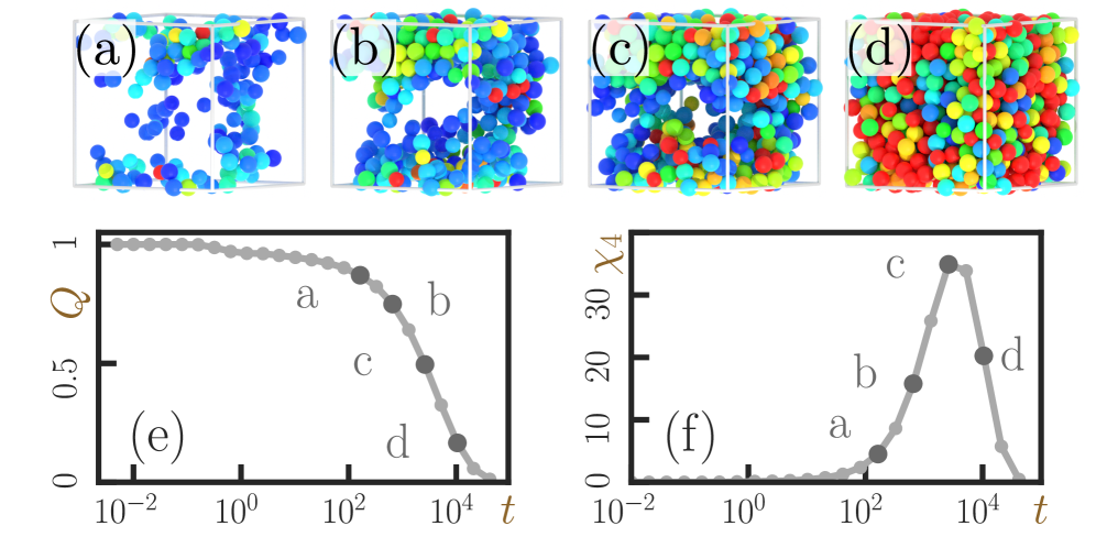 図1：過冷却液体の動的スナップショット。温度を下げると動きやすい粒子（明るい領域）と動きにくい粒子（暗い領域）のドメインが成長することが視覚的に確認できる。