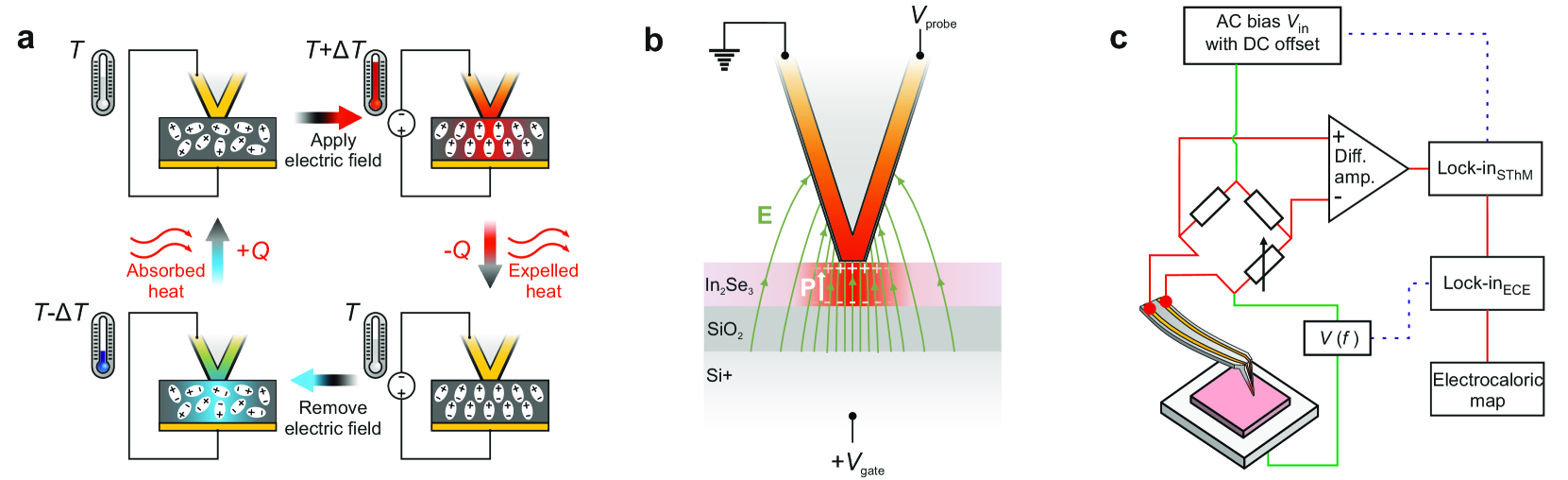走査電気熱量顕微鏡（SEcT）の原理。(a) ECE の基本：電場印加時に温度上昇、除去時に冷却（通常 ECE）。(b) In₂Se₃フレーク上での探針配置と電場集中。(c) AC 励起とマルチハーモニック検出による電気熱量マッピング回路。