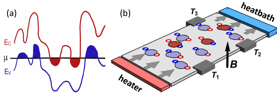 図1: TlBi₀.₁₅Sb₀.₈₅Te₂における電荷パドルの形成と測定配置の模式図。左：荷電不純物に起因する局所的な電荷パドル（電子型・正孔型）がバルク絶縁体中に形成される様子。右：縦方向・横方向の温度差を測定するためのサーモメータ配置。(R. Sharma et al., arXiv:2602.05569, CC BY-NC-ND 4.0)