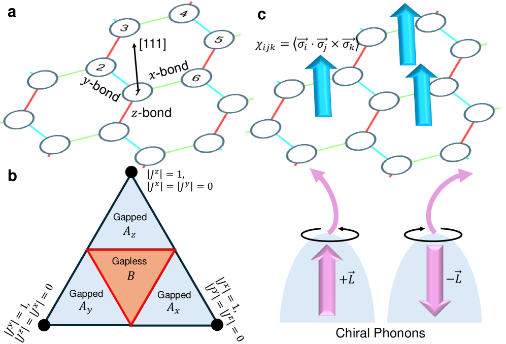 図1（arXiv:2501.11272）：Kitaev モデルの概念図。(a) ハニカム格子上の , ,  結合、(b) 磁気相図、(c) スカラースピンカイラリティによるキラルフォノンのスキュー散乱。