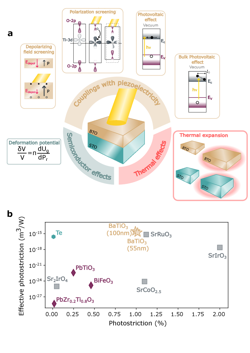 BaTiO₃光歪みのメカニズムと他材料との比較