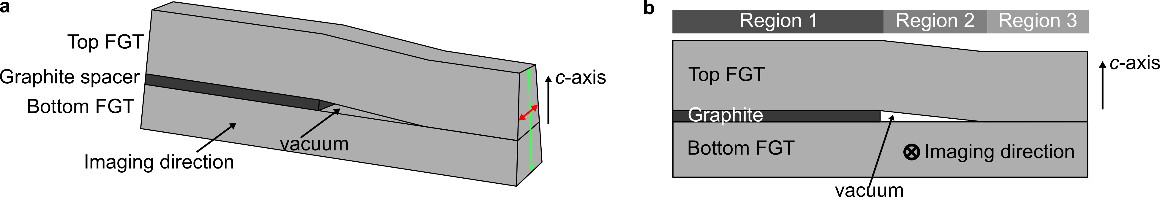 Fe₃GeTe₂/グラファイト/Fe₃GeTe₂ヘテロ構造のLorentzTEM